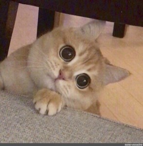 Два стратегических самолёта-разведчика НАТО нарушили воздушную границу России над Баренцевым морем