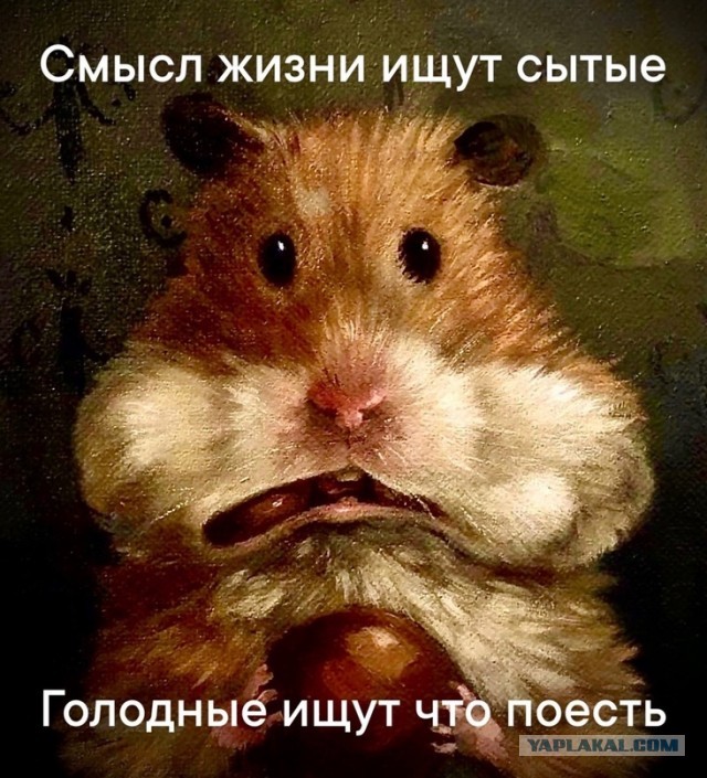 Дурдом (Бояны)