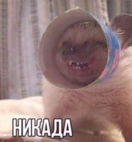 Центробанк ждет скачка инфляции