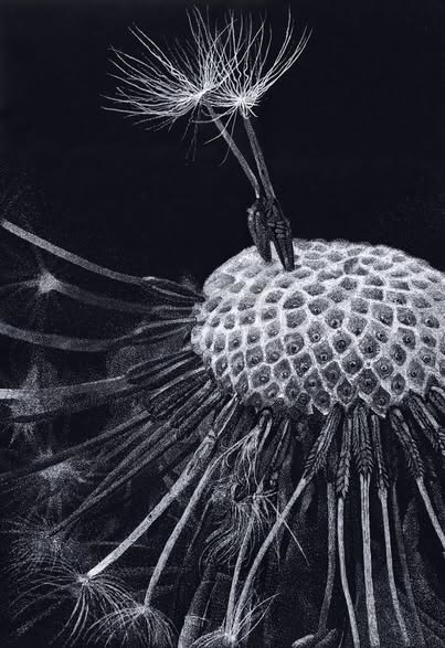 Белым по черному-2