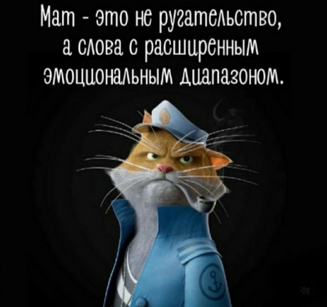 К котовторнику: подборка картинок-баянов с котиками и про котиков. Выпуск 5