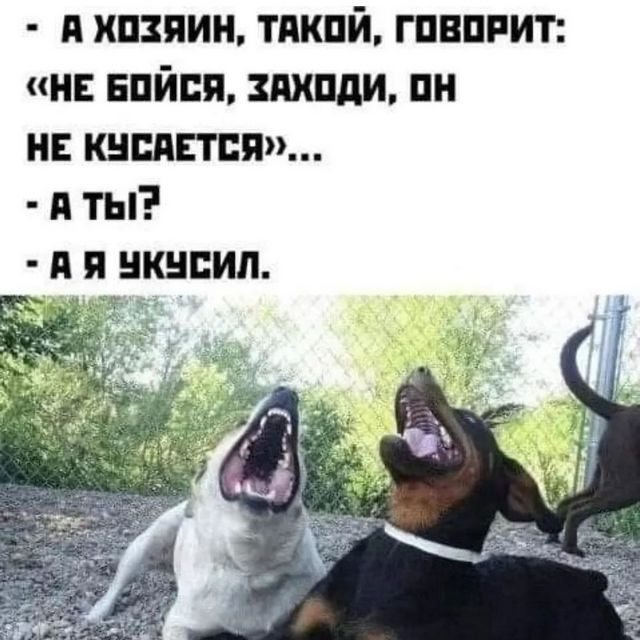 Очередная серия "Он просто играется"