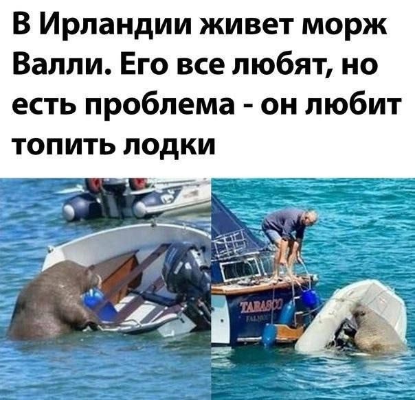 Картинки для деградации 18 (разной степени свежести)