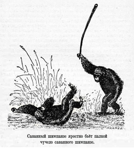 Вооруженные палками мигранты устроили массовую драку в центре Петербурга