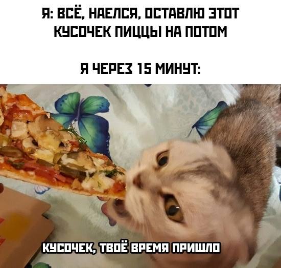 Так себе картинки 04.11.25