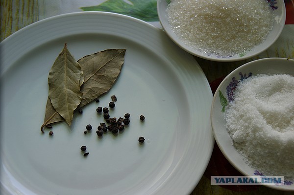Стрелки чеснока.  Маринованные с зеленью. Острые.