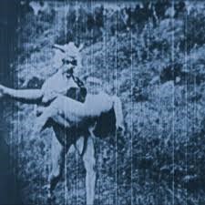 О первых фильмах для взрослых