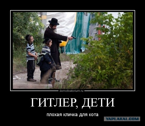 Гитлер, гитлер, кис кис кис!
