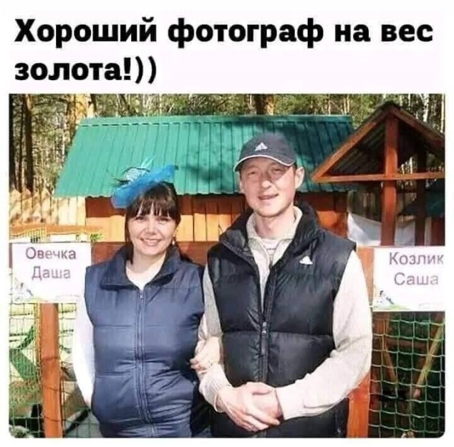 Картинки для деградации 177 (разной степени свежести)