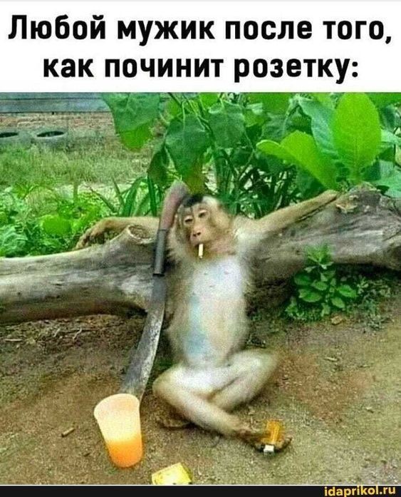 Так себе картинки 22.08.26