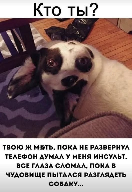 Картинки на среду