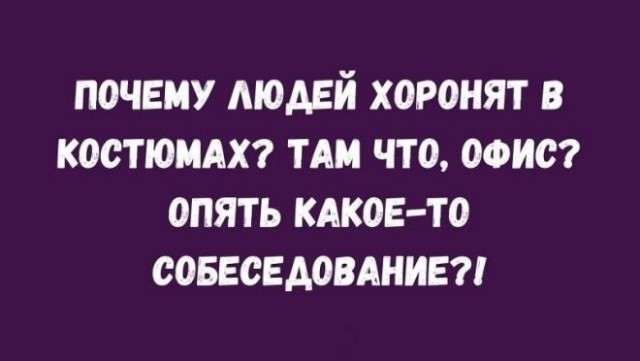 Веселые картинки в пятницу (25.09)