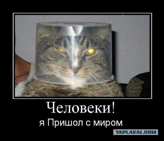У вас дома живет инопланетянка