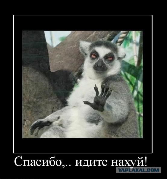 Узбагойся