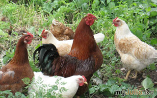 Мнение жителей Славянска