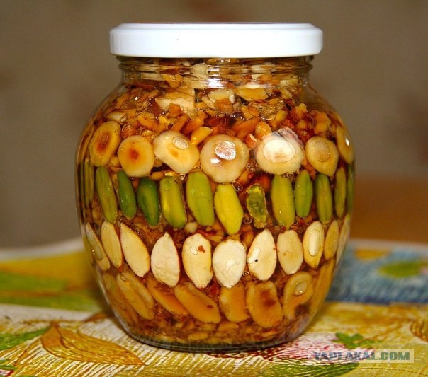 Купил селедочки