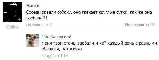 Комментарии из соцсетей, картинки