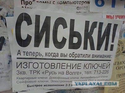Веселые картинки