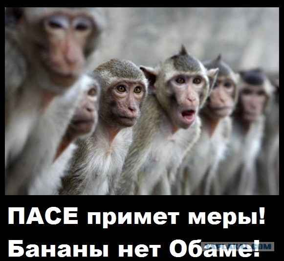 Бред или нет?