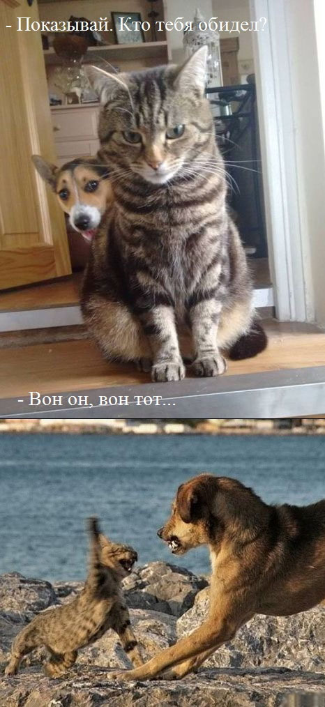 Зря он это сделал...