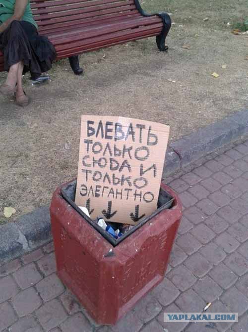 Прикольные картинки