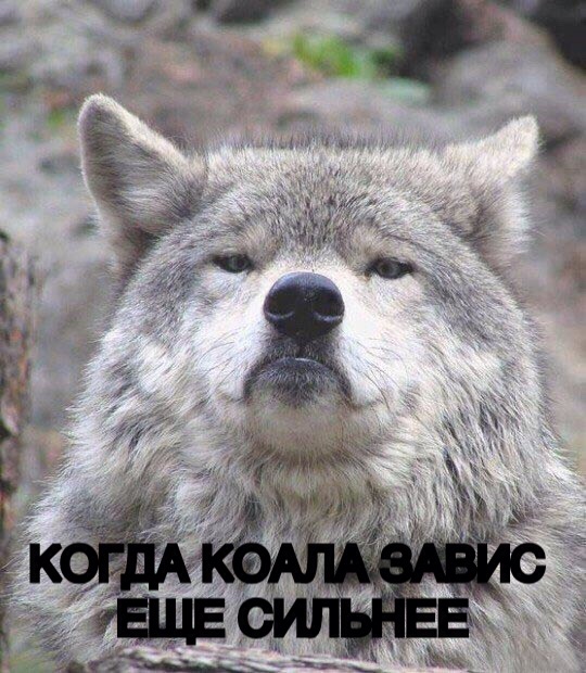 Придет серенький волчок