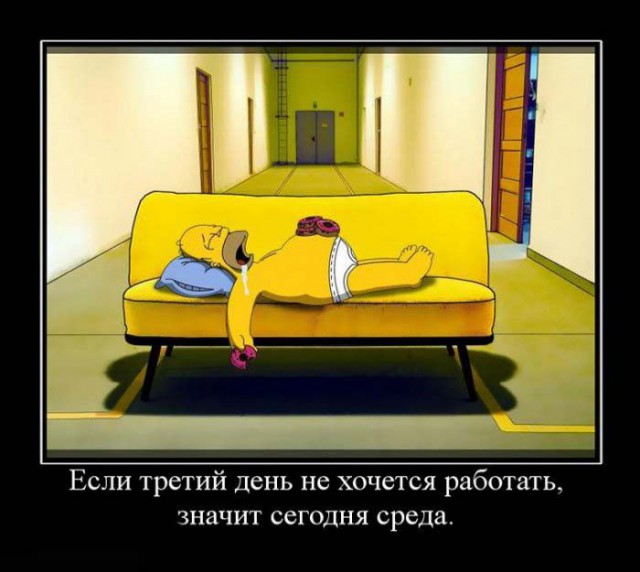 Плюшкиным посвящается