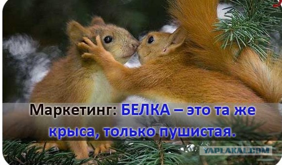 Спасательная операция