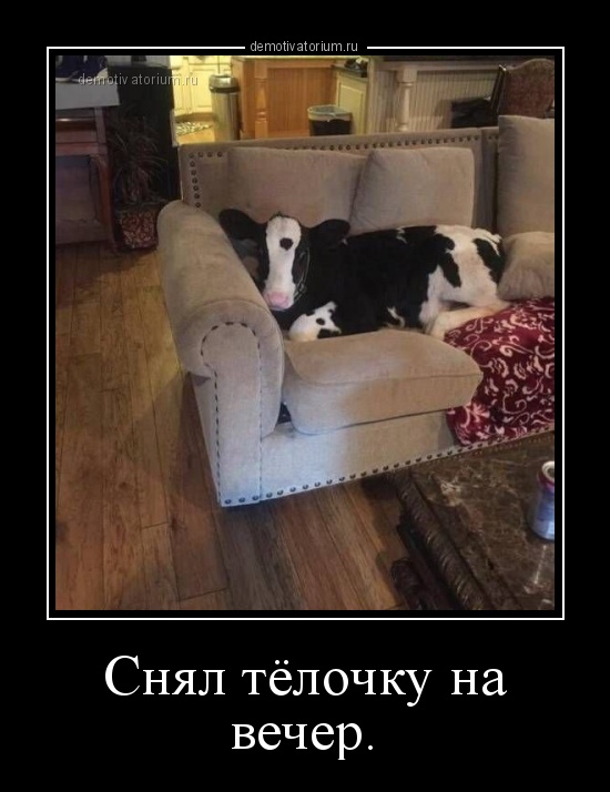 Картинки под пивко