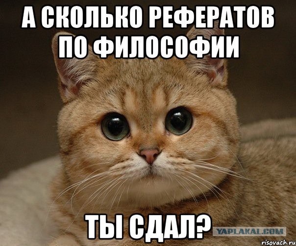 Немного позитива