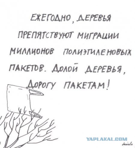 Картинки смешные и несмешные