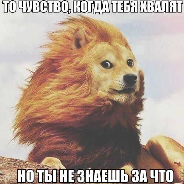 Подборка Картинок из сети