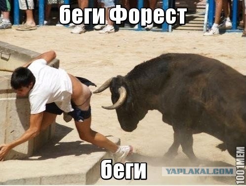 Веселые картинки