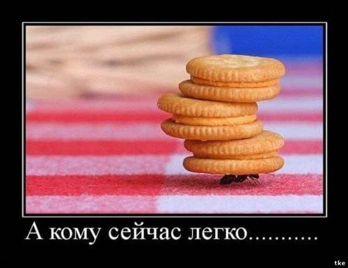 Мы всё?