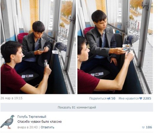 Ужасы и приколы из соцсетей
