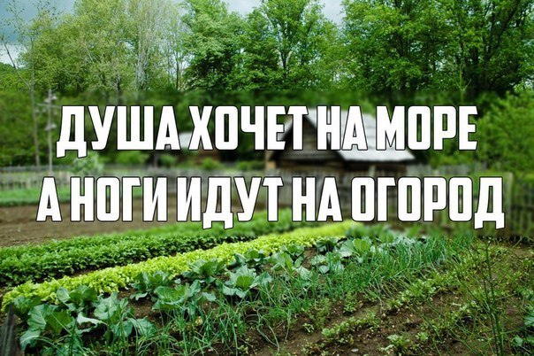 Ассорти картинок из сети