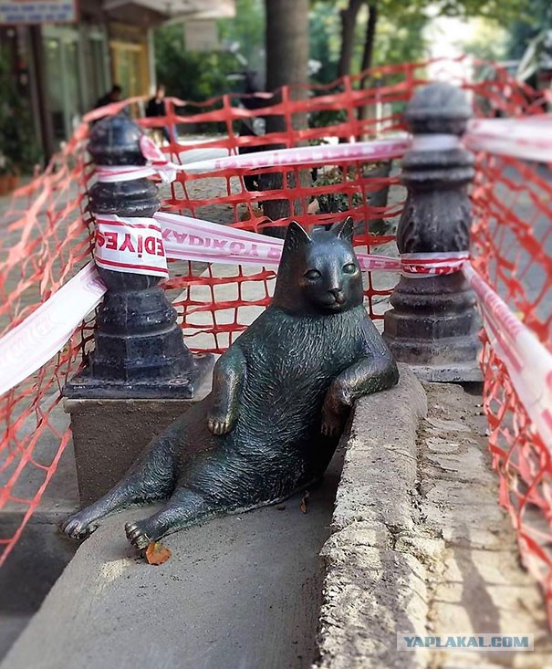 Памятник тому самому коту