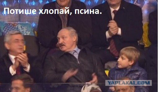 Порция картинок