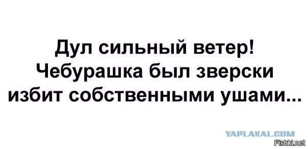 Пятничная подборка картинок