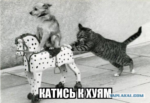 Трамп выгнал Псаки.