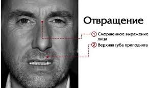Дама получила приглашение "посмотреть дома кино" от немца. Потом долго была в шоке...