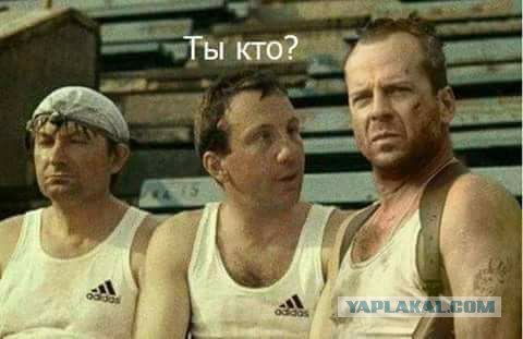 Блогеров нам только не хватало!