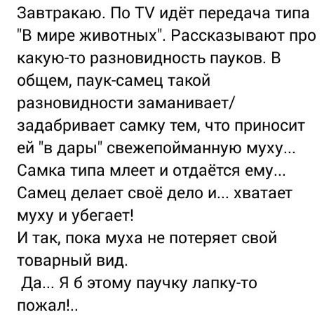 Соцсети - и смех и грех