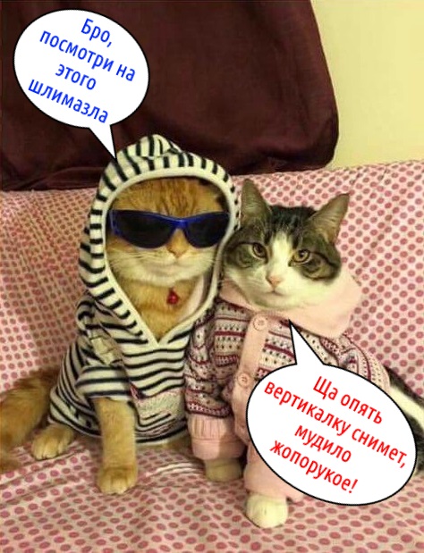 Я не умею рисовать котов? Да ладно...