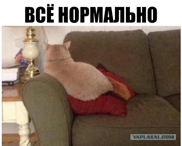 Картинки об отношениях и любви