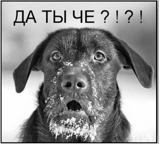 Просто фото