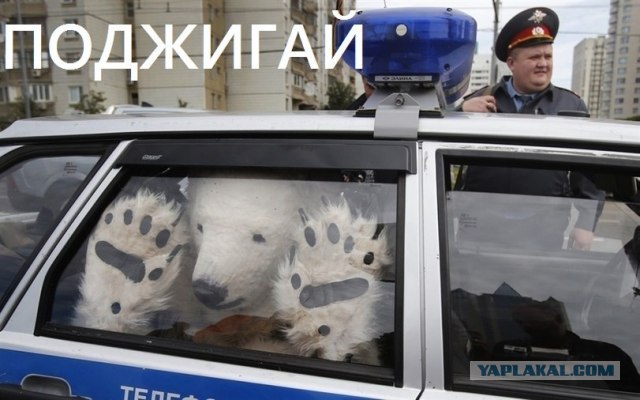 Мне плевать на всех...