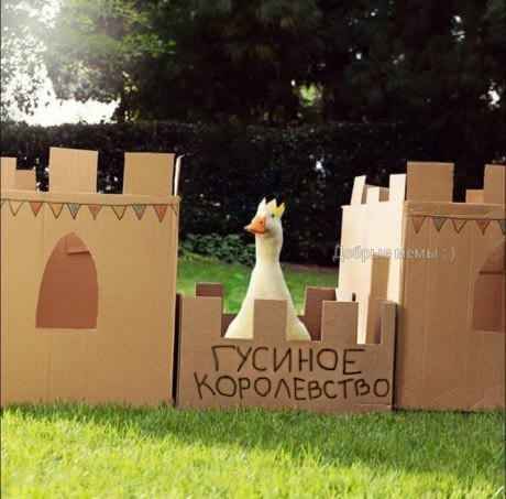 Немного картинок в эту среду