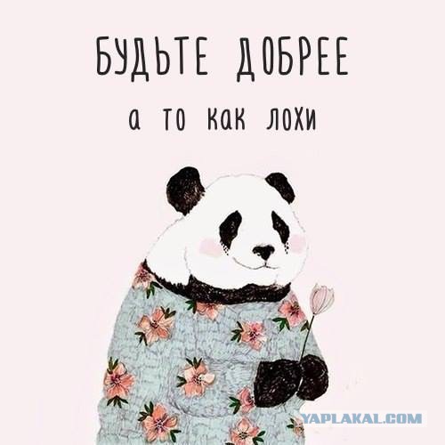 Почему разведенные мужчины за 40 претендуют на молодых?