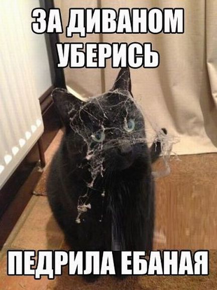 Специфический юмор